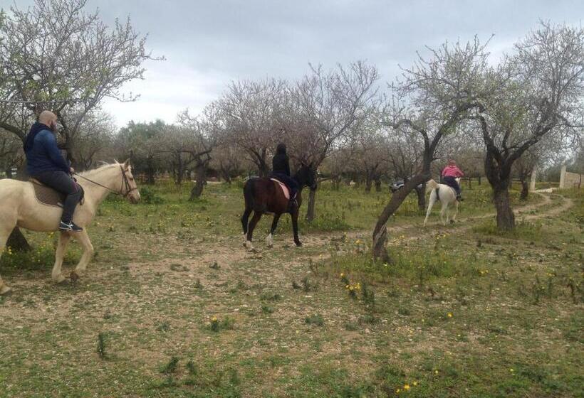 בית מלון כפרי Agriturismo Vita E Natura