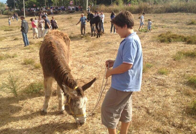 בית מלון כפרי Agriturismo Vita E Natura