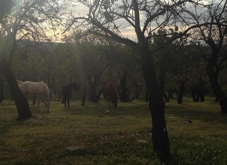 בית מלון כפרי Agriturismo Vita E Natura