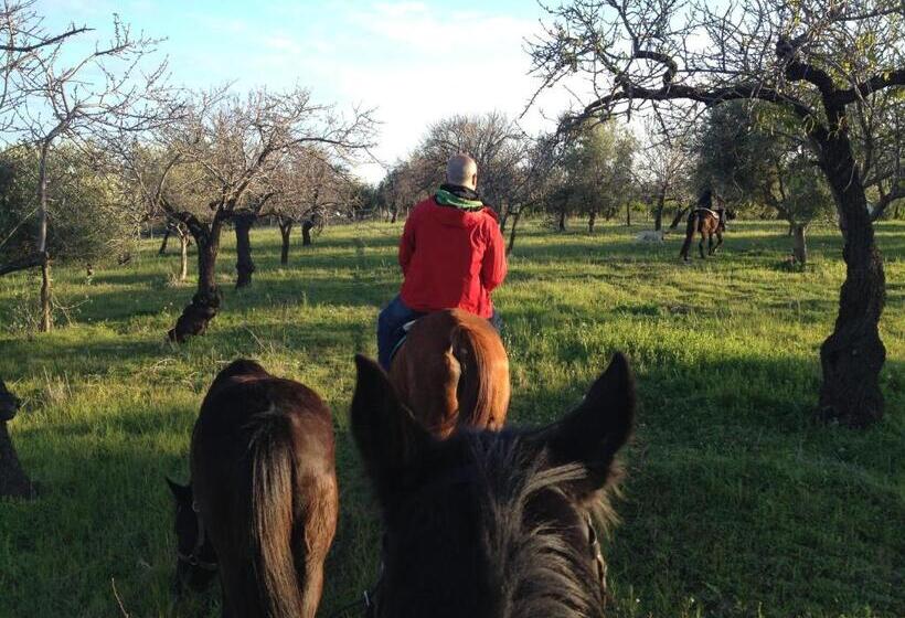 בית מלון כפרי Agriturismo Vita E Natura