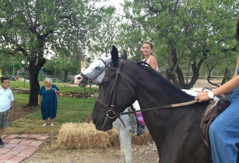 בית מלון כפרי Agriturismo Vita E Natura
