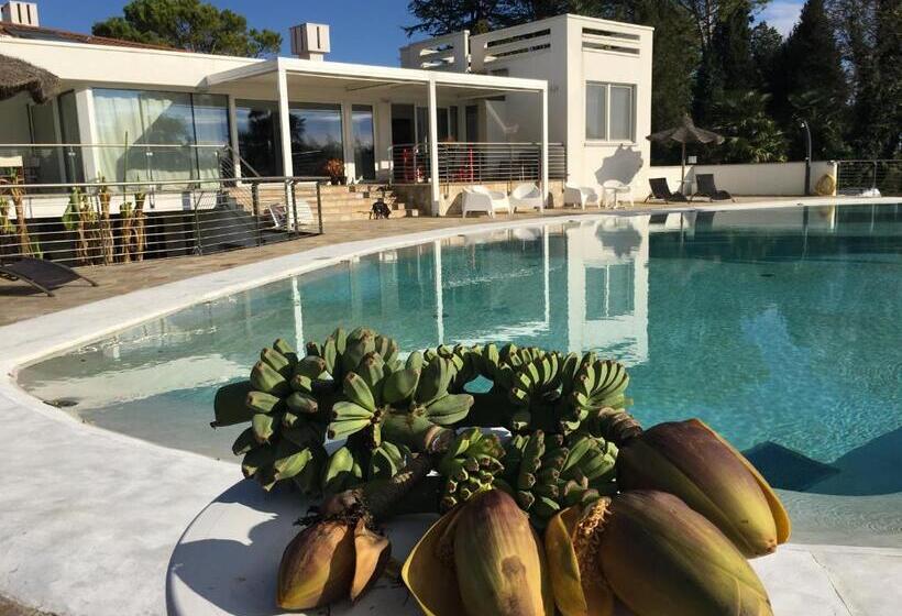 בית מלון כפרי Agriturismob&b Loggia Degli Artisti