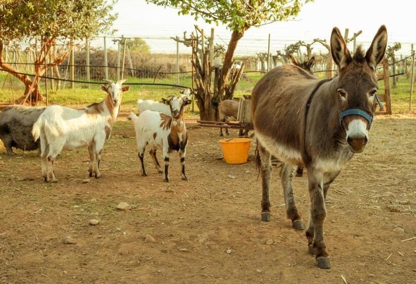 호텔 Azienda Agrituristica Il Pago