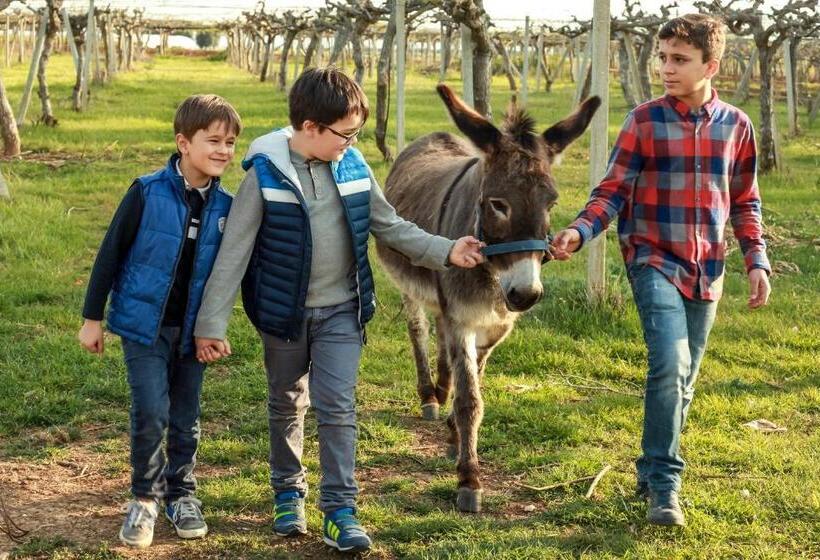 호텔 Azienda Agrituristica Il Pago