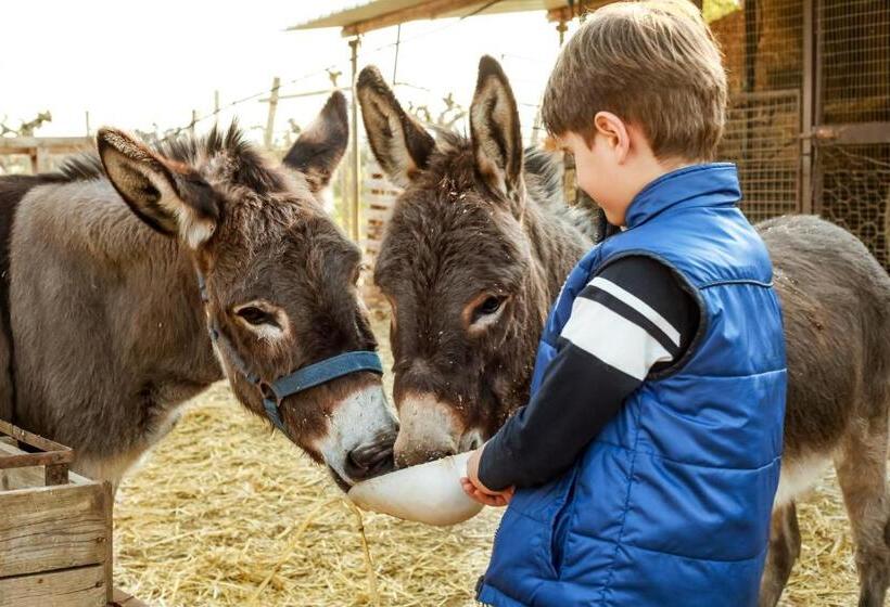 호텔 Azienda Agrituristica Il Pago