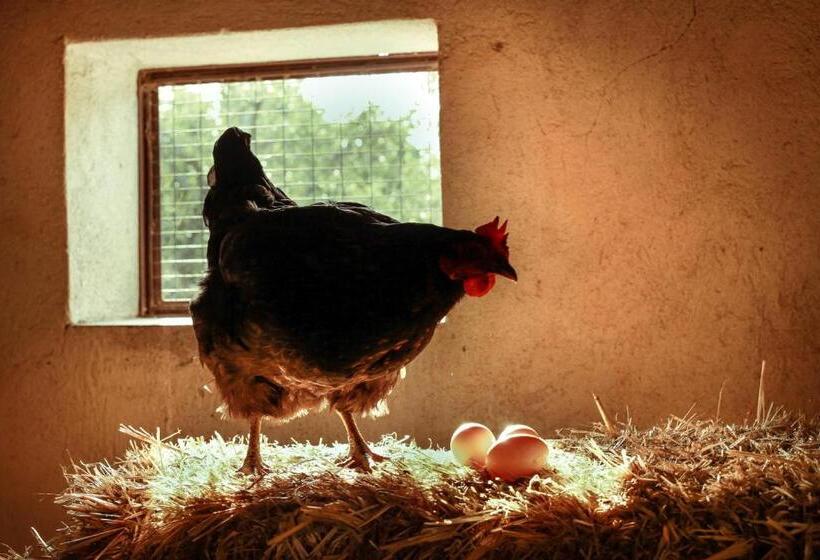 호텔 Azienda Agrituristica Il Pago