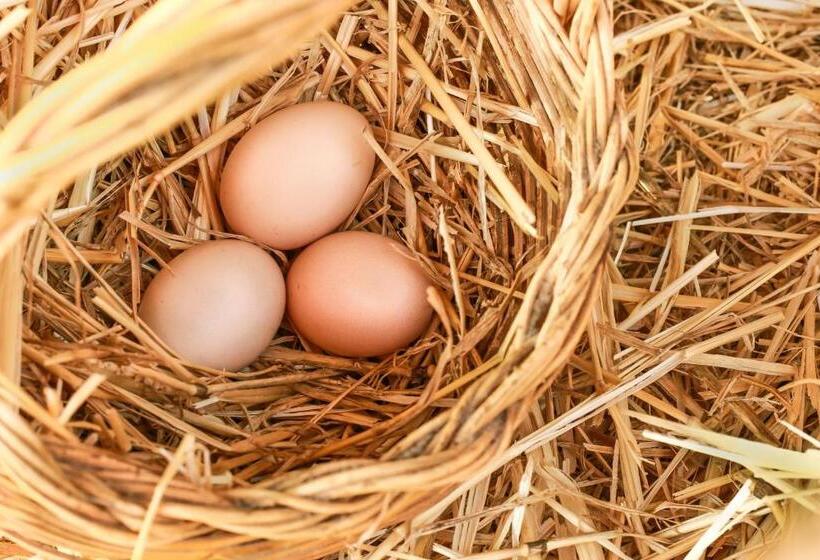 호텔 Azienda Agrituristica Il Pago