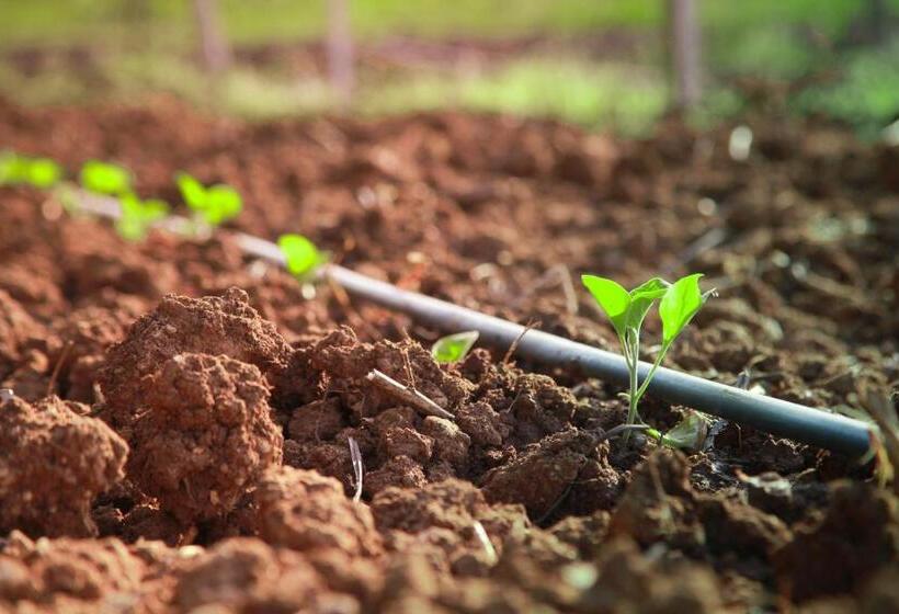 호텔 Azienda Agrituristica Il Pago