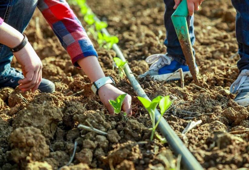 호텔 Azienda Agrituristica Il Pago