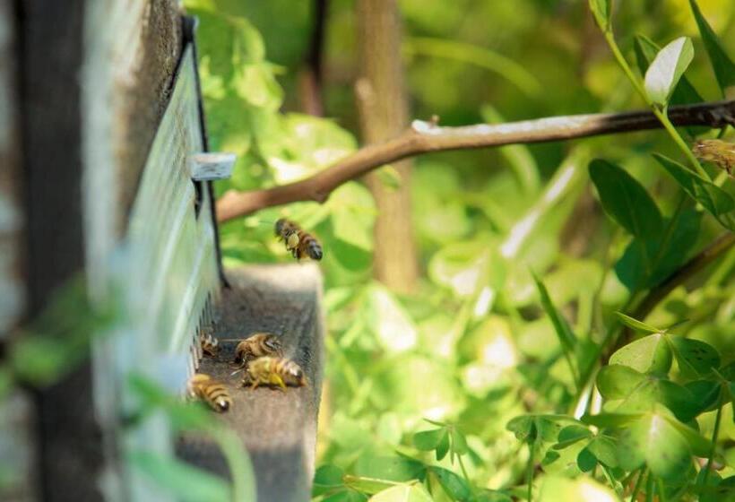 호텔 Azienda Agrituristica Il Pago