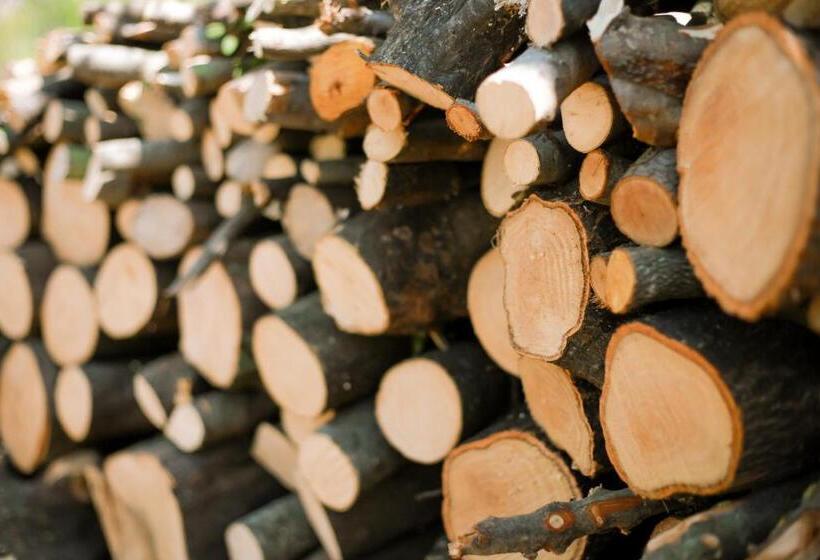 호텔 Azienda Agrituristica Il Pago