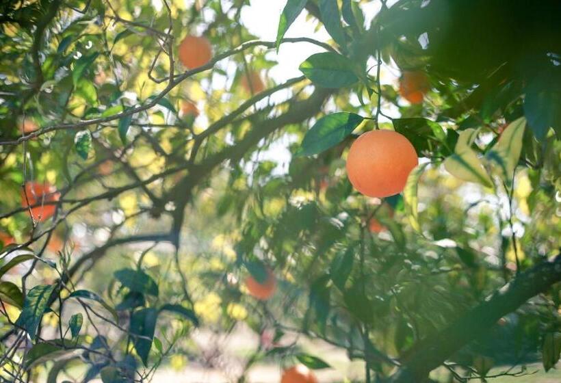 호텔 Azienda Agrituristica Il Pago