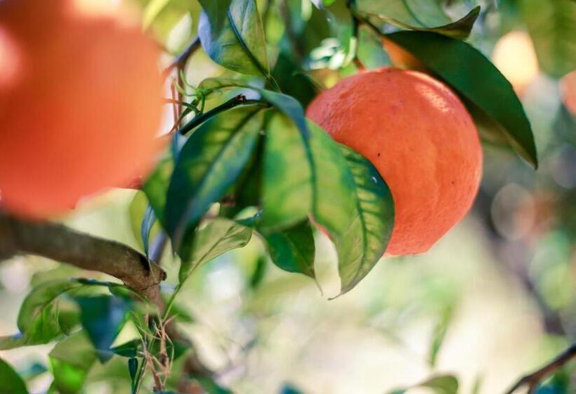 호텔 Azienda Agrituristica Il Pago