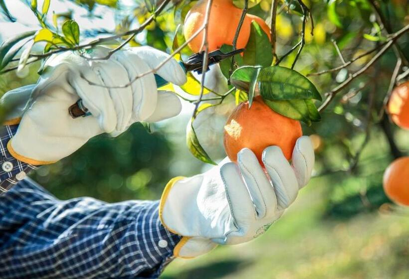 호텔 Azienda Agrituristica Il Pago