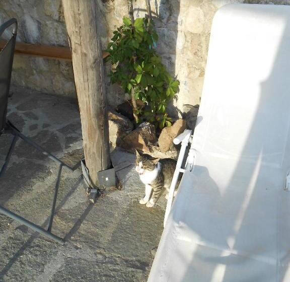 فندق Azienda Agrituristica Risveglio Naturale