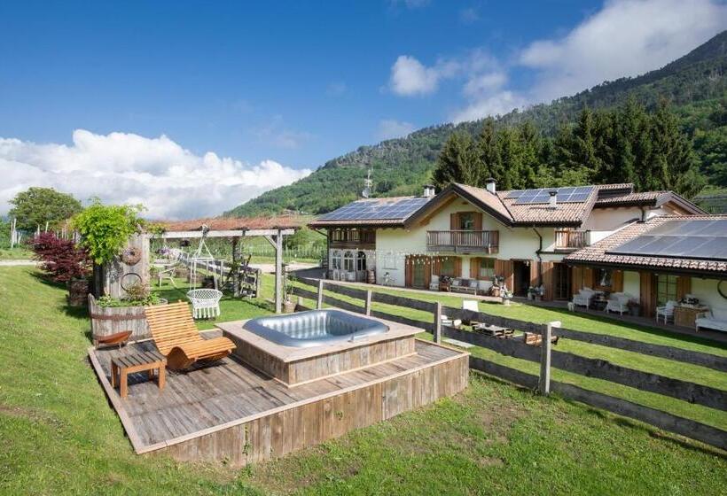 בית מלון כפרי Berry House