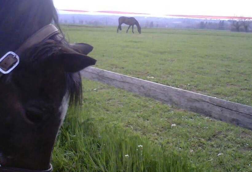 酒店 Cascina Bosco Gerolo