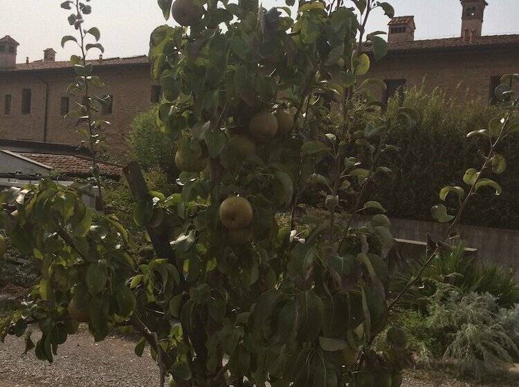 فندق Corte Breda, Agriturismo Bed&breakfast