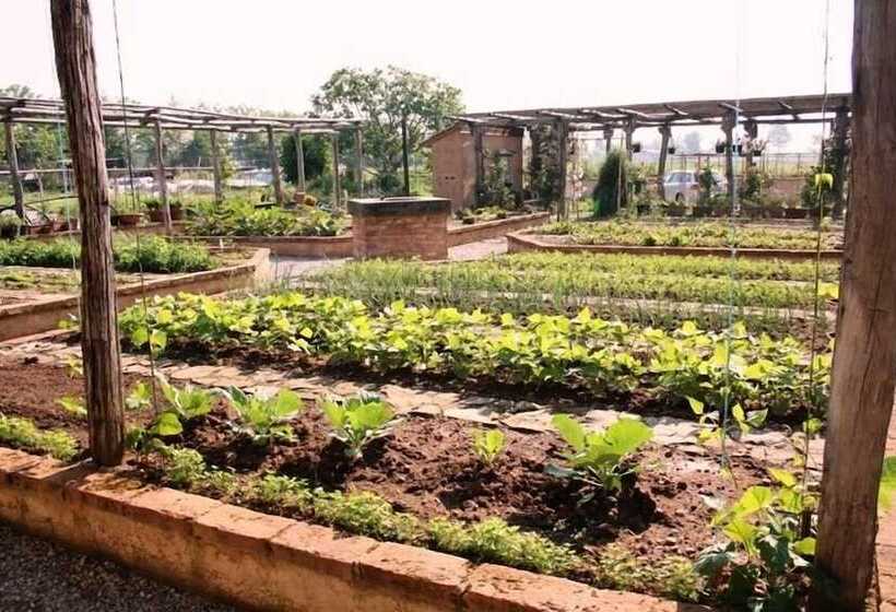 فندق Corte Breda, Agriturismo Bed&breakfast