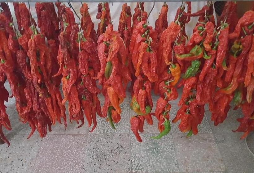 هتل Country House Villa Delle Rose Agriturismo