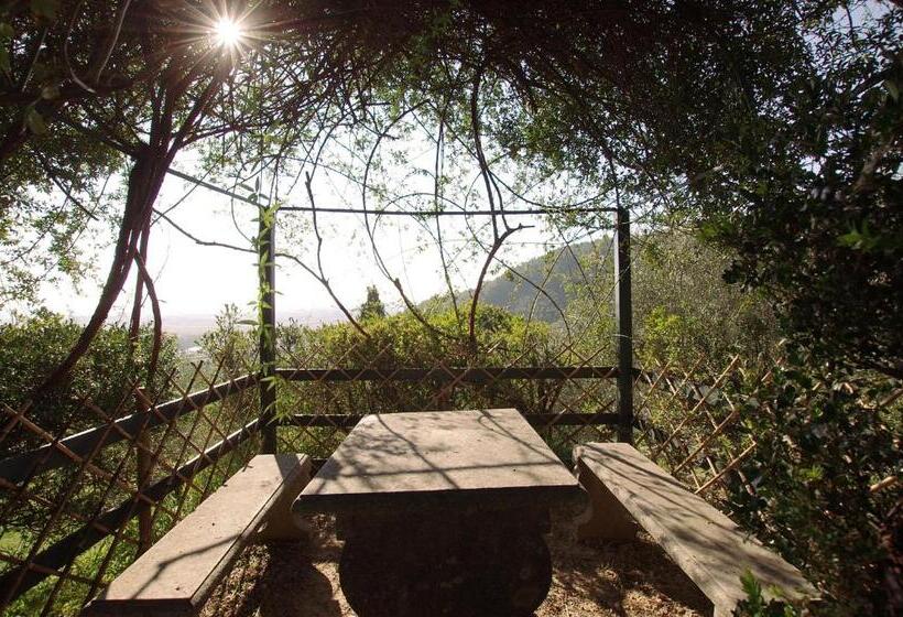 فندق Fattoria Di Camporomano