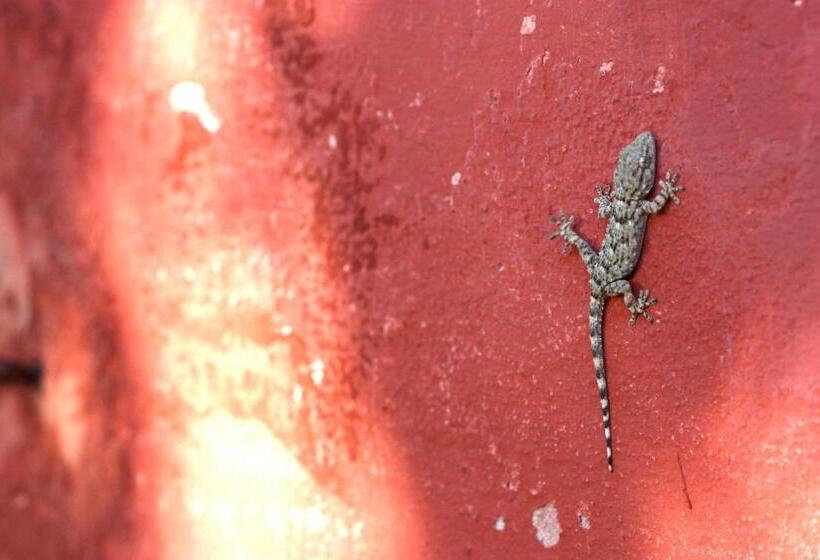 בית מלון כפרי Fattoria Di Camporomano