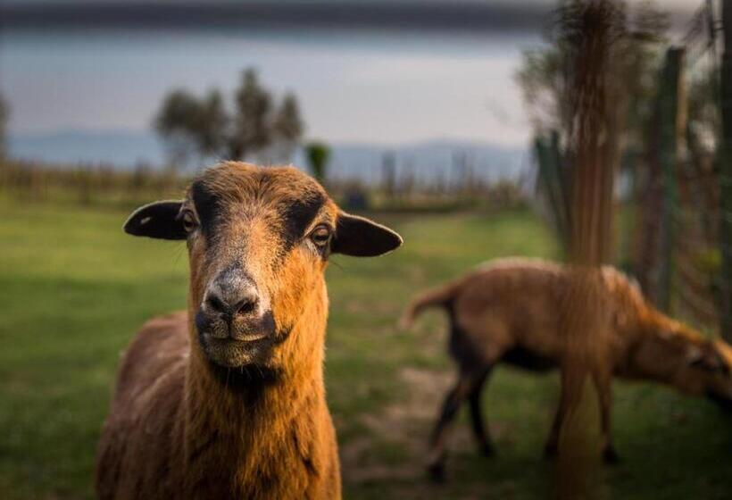 هتل Fattoria Montalbano