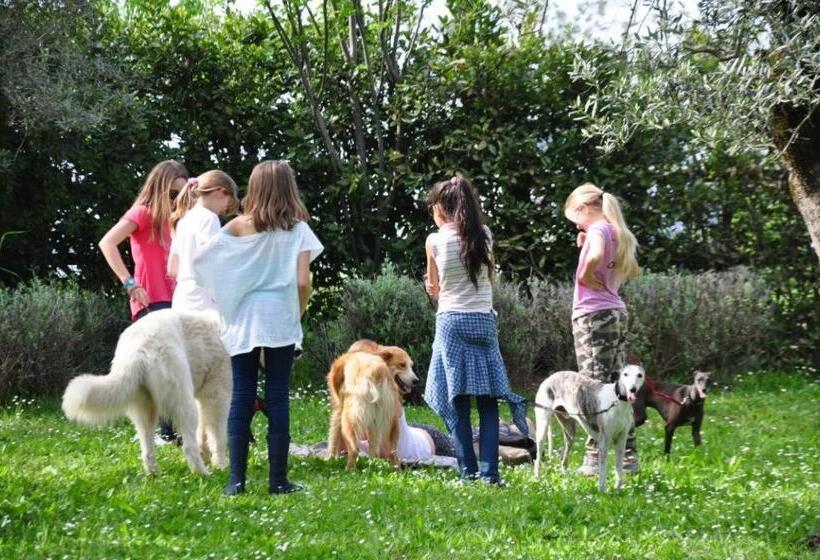 هتل Fattoria Montalbano