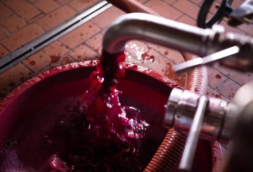 فندق I Dolci Grappoli