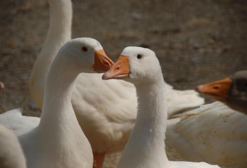 فندق La Foce Del Prato