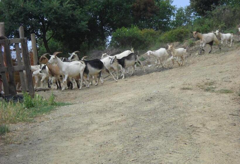 فندق La Foce Del Prato