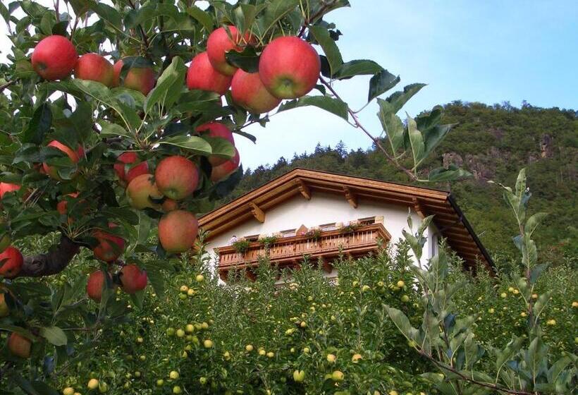 فندق Lafreiderhof