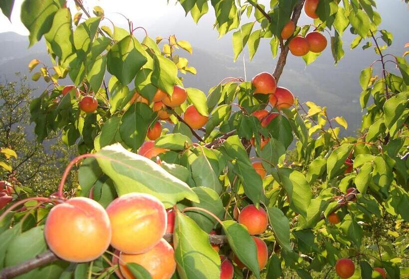 فندق Lafreiderhof