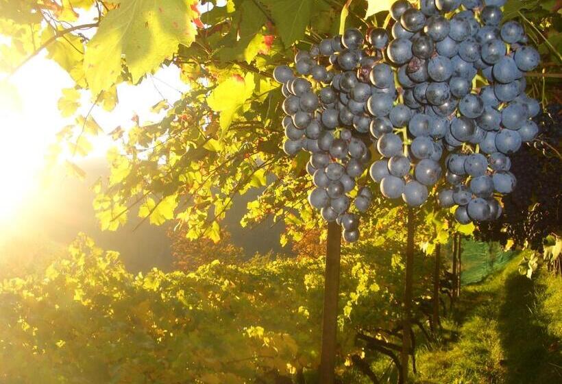 فندق Lafreiderhof