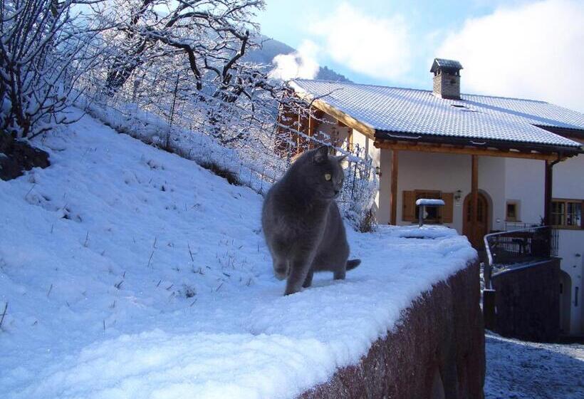 فندق Lafreiderhof