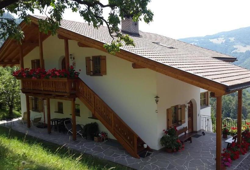 هتل Lafreiderhof