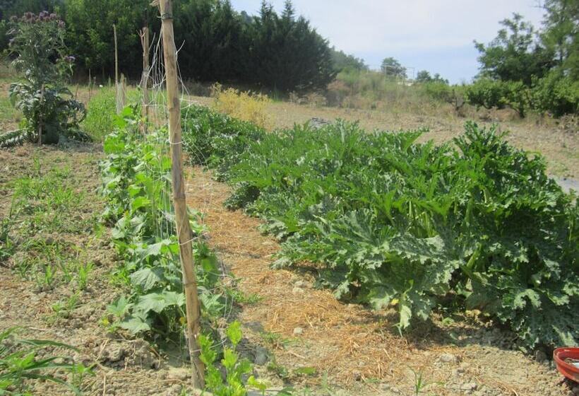 فندق Le Spighe Agriturismo