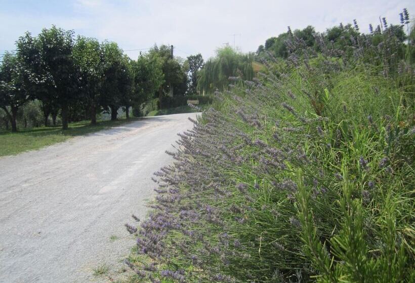 فندق Le Spighe Agriturismo