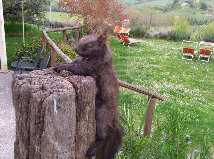 فندق Le Spighe Agriturismo