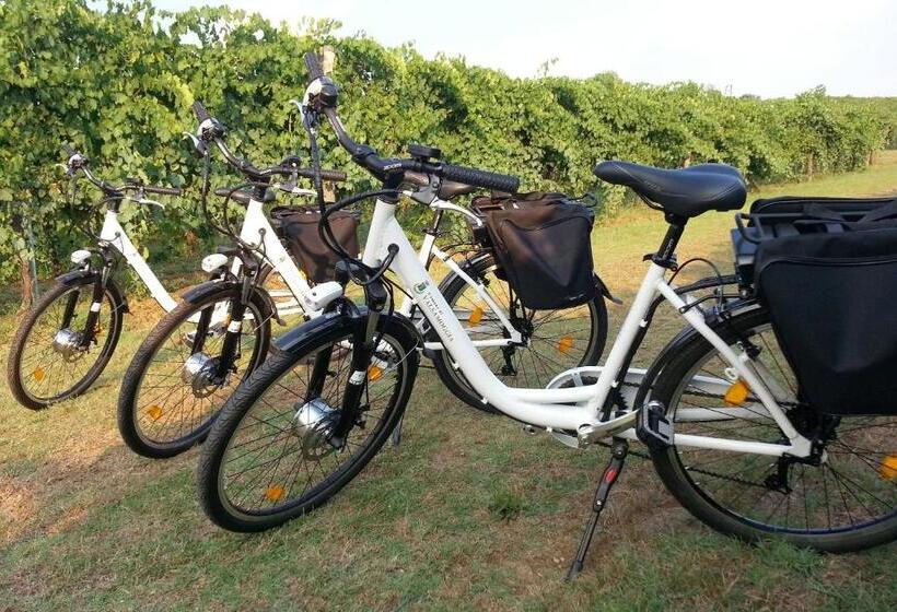 호텔 Le Stanze Di Bacco