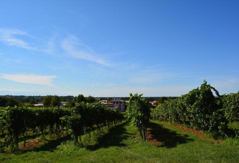 호텔 Le Stanze Di Bacco