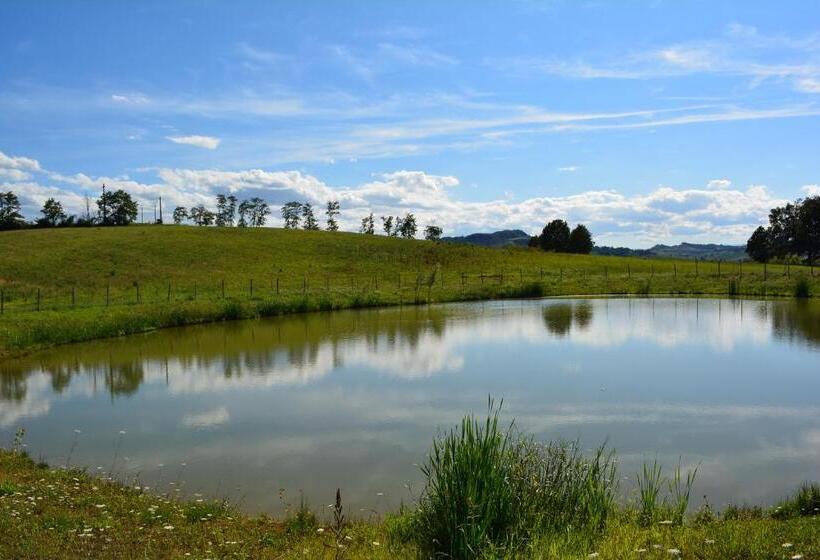 Отель Le Stanze Di Bacco