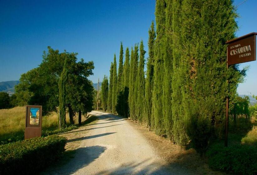 فندق Locanda Casanuova