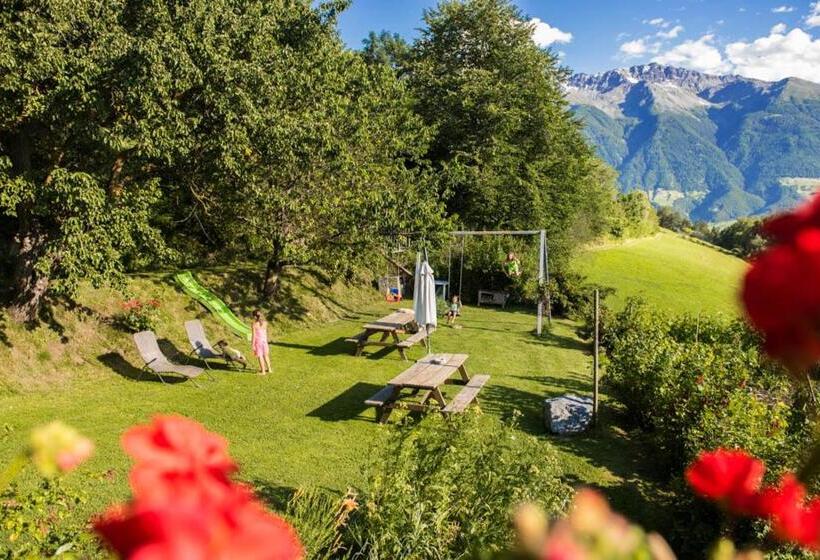 בית מלון כפרי Patztauhof