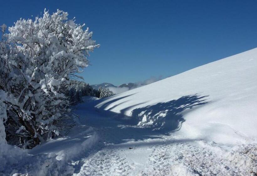 Отель Planitzhof