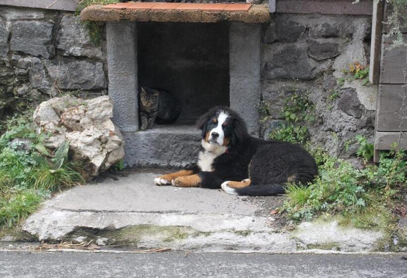 Отель Planitzhof