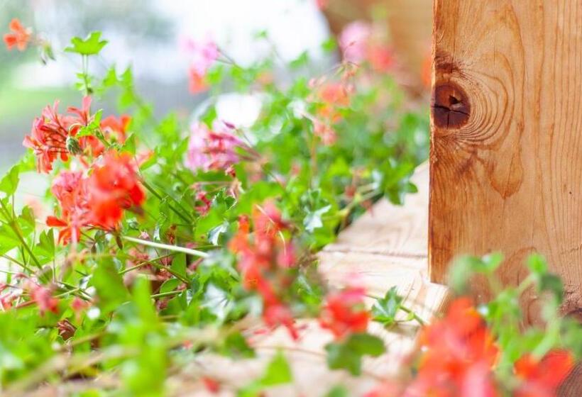 בית מלון כפרי Pretzerhof