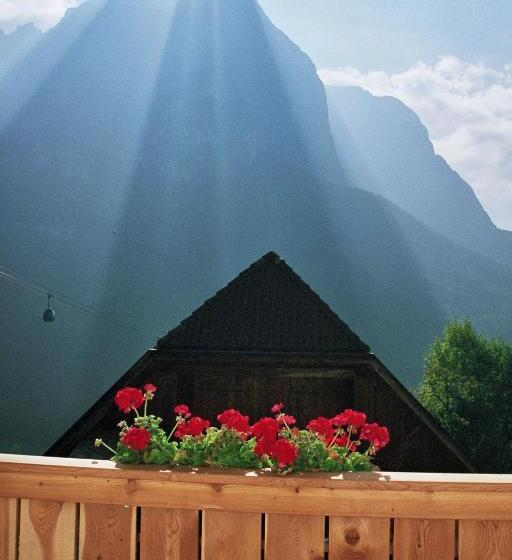 Отель Ratzeshof