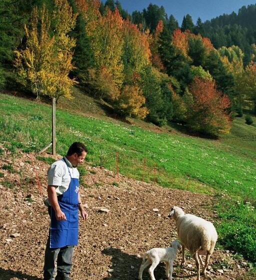 Отель Ratzeshof