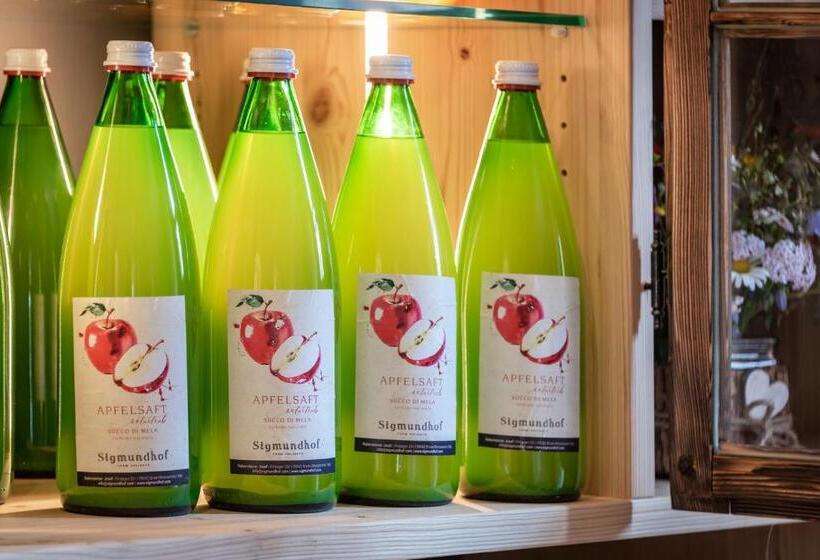 בית מלון כפרי Sigmundhof